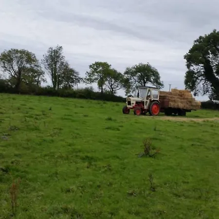3 Bedroom House Close To Lough Sheelin Feriehus *